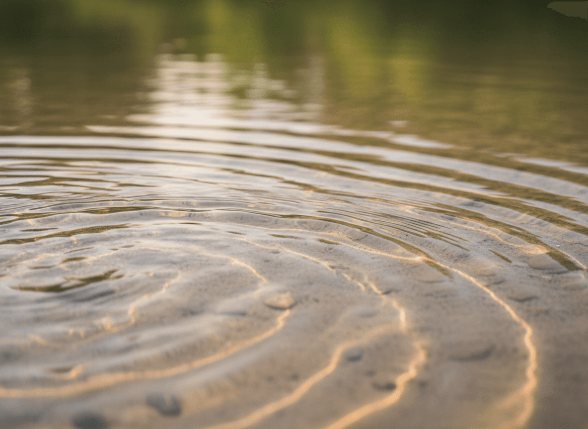 Racial & Cultural Identity — natural texture